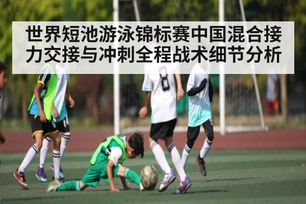 世界短池游泳锦标赛中国混合接力交接与冲刺全程战术细节分析（c7c7）